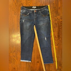 Wit &Wisdom Ab Solution Girlfriend Jeans Size 16W